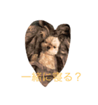マーブルの一言（個別スタンプ：2）