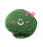 近所の植木たち（個別スタンプ：1）