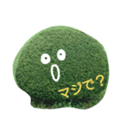 近所の植木たち（個別スタンプ：2）