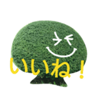 近所の植木たち（個別スタンプ：11）