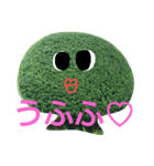 近所の植木たち（個別スタンプ：12）