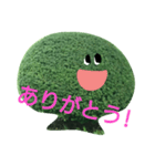 近所の植木たち（個別スタンプ：15）