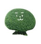 近所の植木たち（個別スタンプ：19）