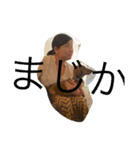 sample858585（個別スタンプ：6）