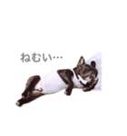 むったシリーズ①（個別スタンプ：2）