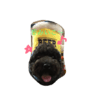 QOO chang（個別スタンプ：2）