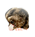 QOO chang（個別スタンプ：4）