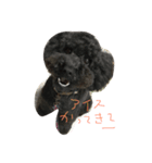 QOO chang（個別スタンプ：7）