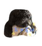 QOO chang（個別スタンプ：8）