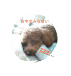 LAKI（個別スタンプ：5）