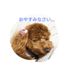 LAKI（個別スタンプ：8）
