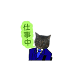 ねこのゆめちゃん（♂）（個別スタンプ：7）