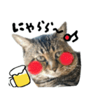 ねこのゆめちゃん（♂）（個別スタンプ：21）