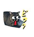 ねこのゆめちゃん（♂）（個別スタンプ：23）