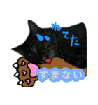 ねこのゆめちゃん（♂）（個別スタンプ：27）