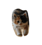 Lovely cat Mel and Luc（個別スタンプ：13）