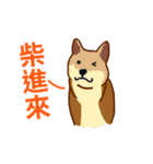 The Year of The Dog（個別スタンプ：15）