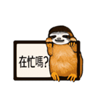 happy cute sloth（個別スタンプ：5）