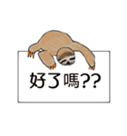 happy cute sloth（個別スタンプ：8）