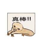 happy cute sloth（個別スタンプ：10）