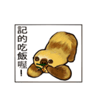 happy cute sloth（個別スタンプ：12）