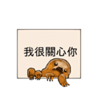 happy cute sloth（個別スタンプ：13）