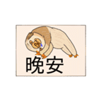 happy cute sloth（個別スタンプ：17）