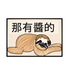 happy cute sloth（個別スタンプ：24）