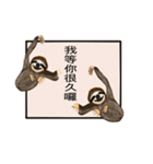 happy cute sloth（個別スタンプ：30）