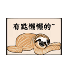 happy cute sloth（個別スタンプ：39）