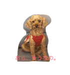 The beautiful dog（個別スタンプ：2）