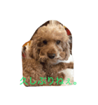 The beautiful dog（個別スタンプ：3）