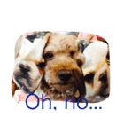 The beautiful dog（個別スタンプ：4）