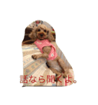 The beautiful dog（個別スタンプ：7）