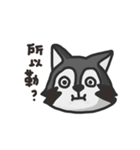 nasty raccoon（個別スタンプ：1）