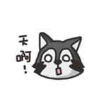 nasty raccoon（個別スタンプ：2）