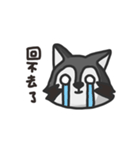 nasty raccoon（個別スタンプ：3）