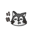 nasty raccoon（個別スタンプ：5）