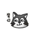 nasty raccoon（個別スタンプ：7）