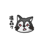 nasty raccoon（個別スタンプ：8）