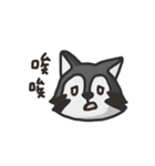 nasty raccoon（個別スタンプ：10）