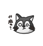 nasty raccoon（個別スタンプ：11）