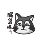 nasty raccoon（個別スタンプ：18）