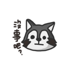 nasty raccoon（個別スタンプ：19）