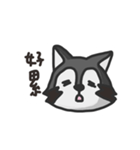 nasty raccoon（個別スタンプ：20）