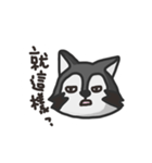 nasty raccoon（個別スタンプ：21）