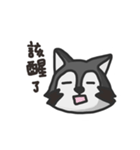 nasty raccoon（個別スタンプ：22）