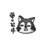 nasty raccoon（個別スタンプ：23）