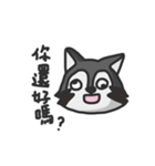 nasty raccoon（個別スタンプ：24）