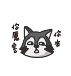 nasty raccoon（個別スタンプ：29）